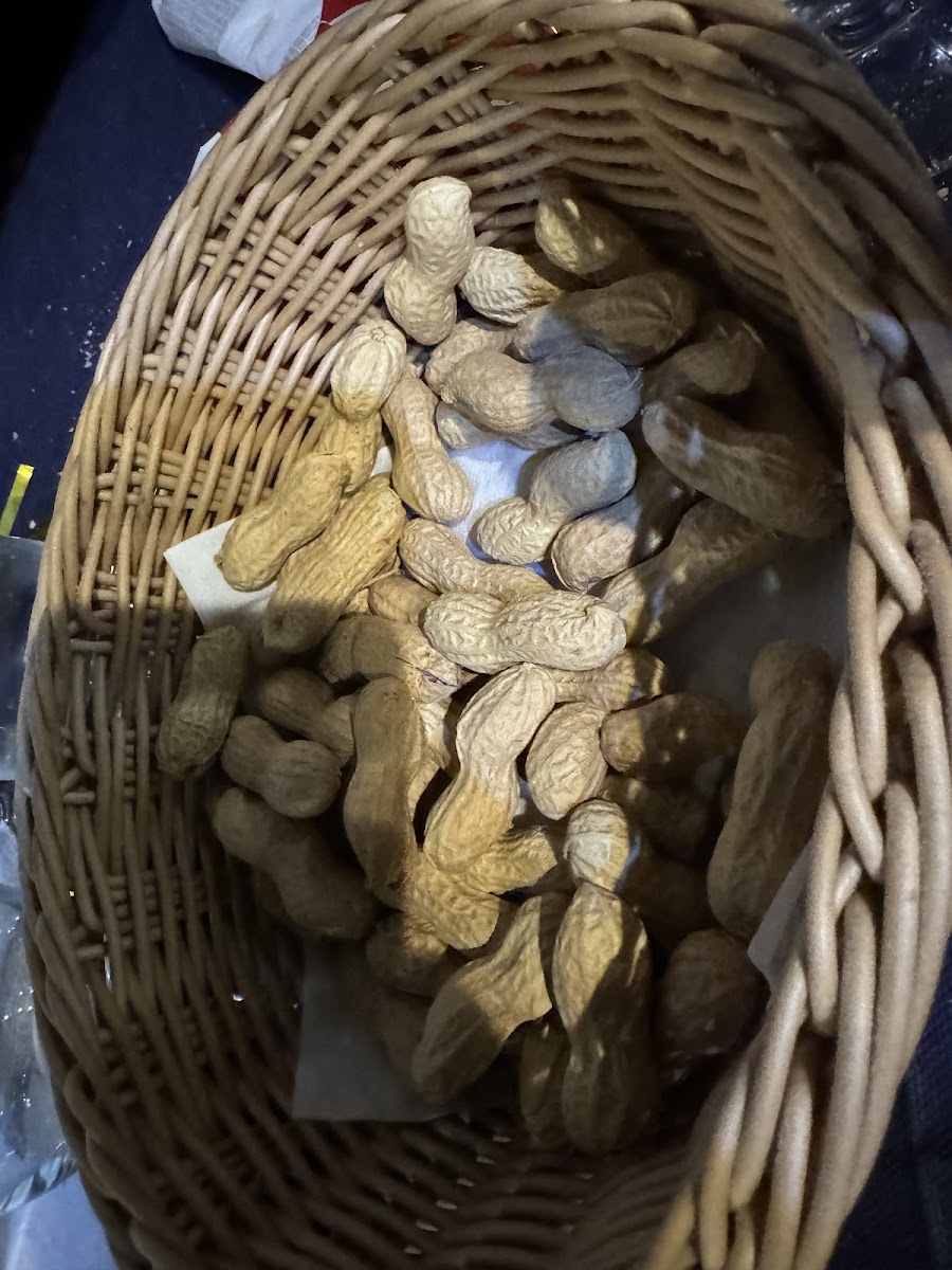 Ristorante Pizzeria La Tavola Da Rino & Figli-6